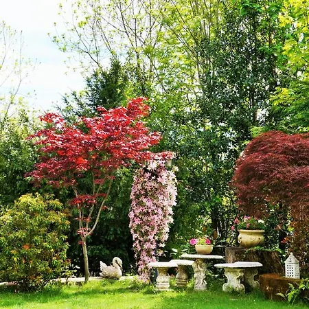 La Casa Degli Aceri Bed & Breakfast
